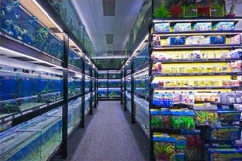 Range of Discus variations