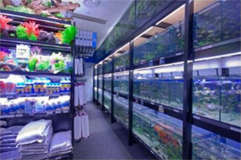 Tropical fish shop sale