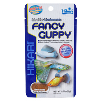 hikari-fancy-guppy