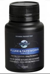 blue-planet-fluke-tapeworm-201