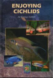 enjoying-cichlids