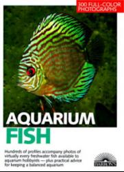 aquarium-fish
