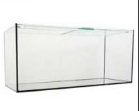 fish-tank