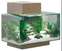 Fluval-Edge-23L-01