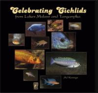 celebrating-cichlids-lakes-malawi-tanganyika