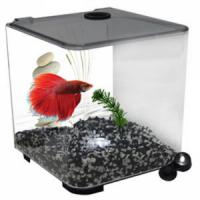 aqua-one-betta-tank-style-acrylic-3l-with-light-946