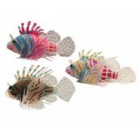 copi-sea-floating-dwarf-lionfish-691
