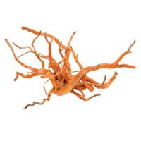 pisces-gold-vine-596