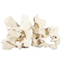 pisces-texas-holey-rock-352