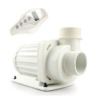 zetlight-sparkle-dragon-sd-612-937